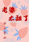 老婆太甜了小崇山剧透