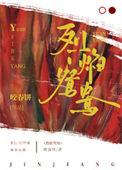 烈焰鸳鸯txt加番外