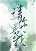 请你在意我 晋江