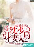 辰少宠妻入骨沈宴昭沈语熙最新章节列表
