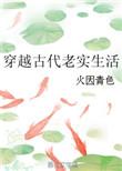 穿越古代老实生活书评
