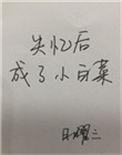 失忆后成了小白菜16