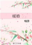 暖婚私宠总裁小叔请放手