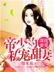 帝少私宠甜妻全文阅读