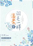 温柔像羽毛一样免费阅读