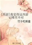 西游我觉得这西游记哪里不对劲