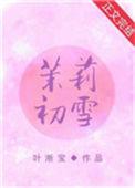 茉莉初雪叶淅宝全文免费阅读