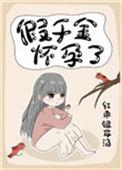 假千金怀孕了29