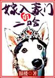 嫁入豪门的alpha笔趣阁