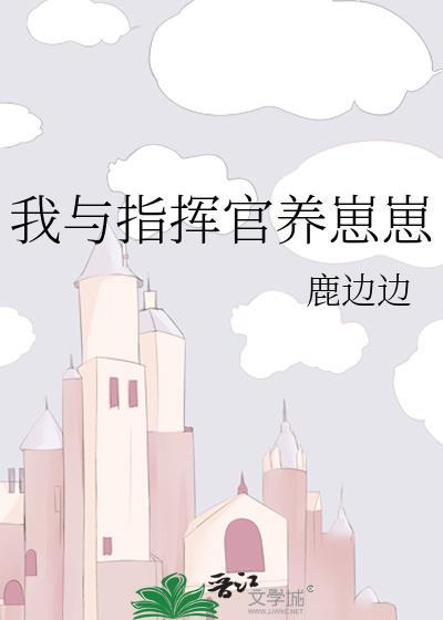指挥官零笔趣阁