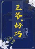 王爷好巧txt