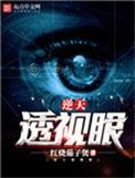 逆天透视眼有声