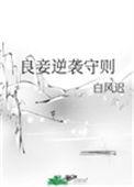 良妾的意思