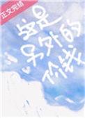 “这是另外的价钱”