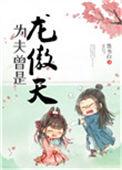 为夫曾是龙傲天讲的什么