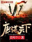 唐谋天下顶点