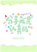 分手我是认真的 番外
