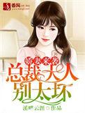 娇妻太高冷
