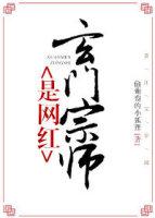 玄门宗师是网红无盗文最新章节更新内容