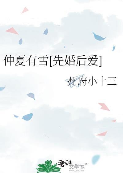 仲夏有雪简介内容