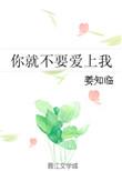 就不该爱上你歌词