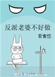 反派老婆不好做类似重生甜宠文