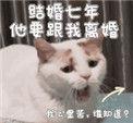 结婚七年他要跟我离婚txt