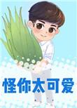 怪你太可爱txt