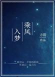 乘风入梦百度txt