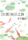 权后之路红楼