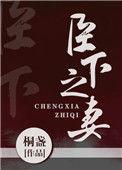 臣下之妻 作者桐盏