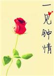 一见钟情娱乐圈