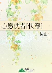 心愿v1.0.1攻略