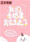 我的未婚夫逃跑了
