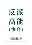 反派高能快穿txt