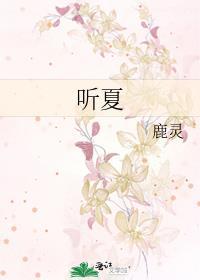 听夏天的风