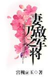 妻乃敌军之将晋江