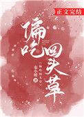 偏吃回头草百度