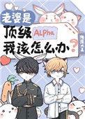 我老婆是alpha我该怎么办