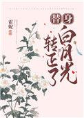 替身梗白月光梗