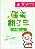 碰瓷翻了车TXT百度资源