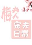 梅夫人宠夫日常广播剧百度