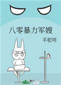 八零暴力军嫂t