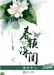 电视剧 锁春记