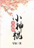 幸福的小神棍txt书包网