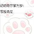 荷尔蒙凵
