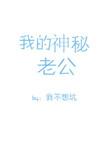 我的神秘老公白雅结局