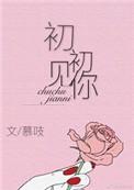 初初见你免费阅读