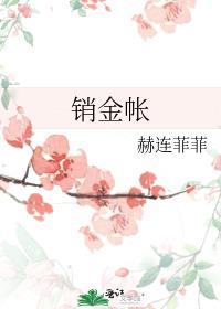 醉入销金帐