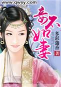 妾不如妻王野全集